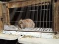 20140606_101116.jpg